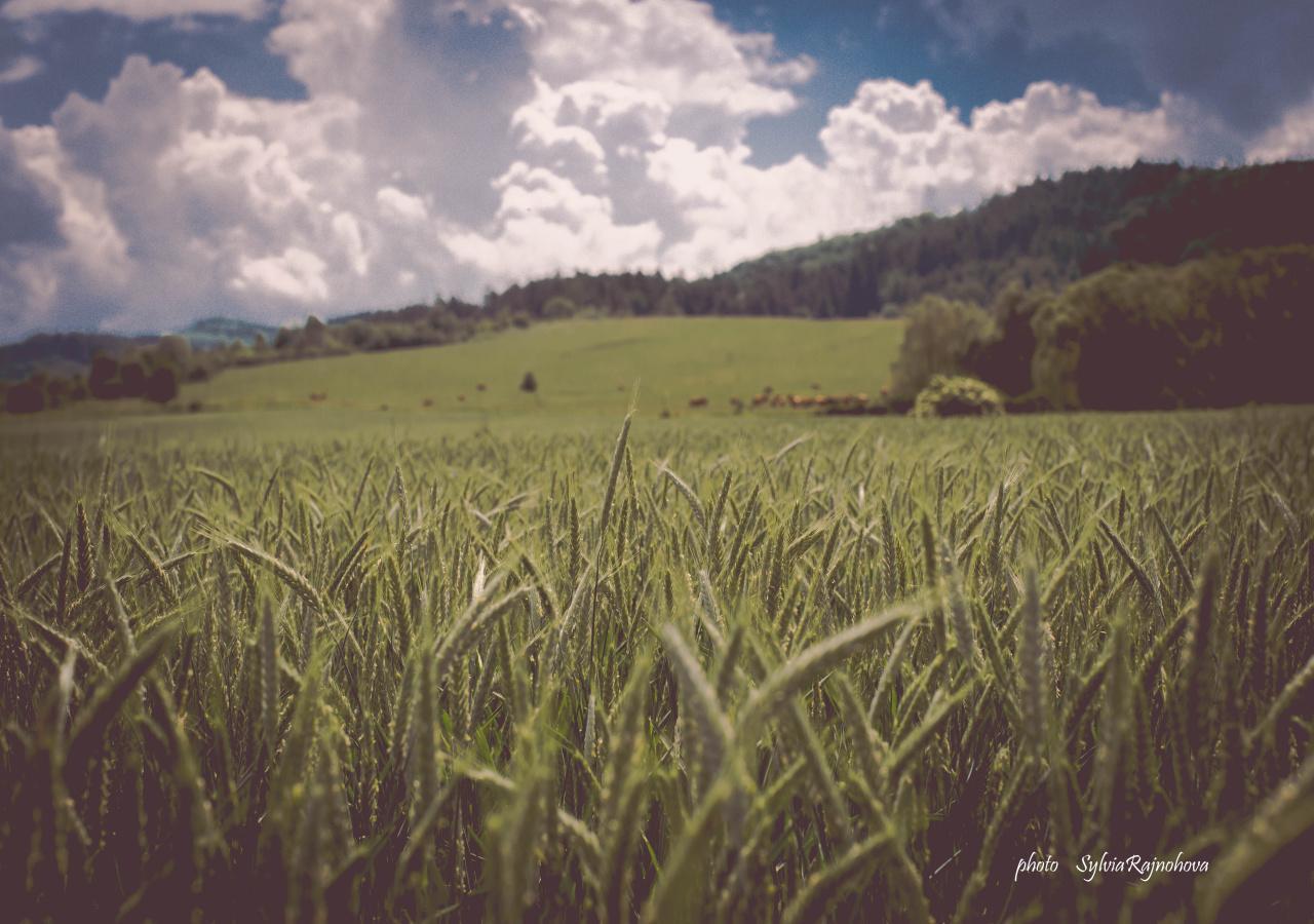 Ubytovanie Koliba Pacho - Zrub Zuzka Prievidza Esterno foto